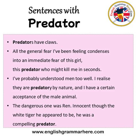 predator in English .